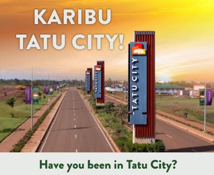 1,000 m² Land at Tatu City