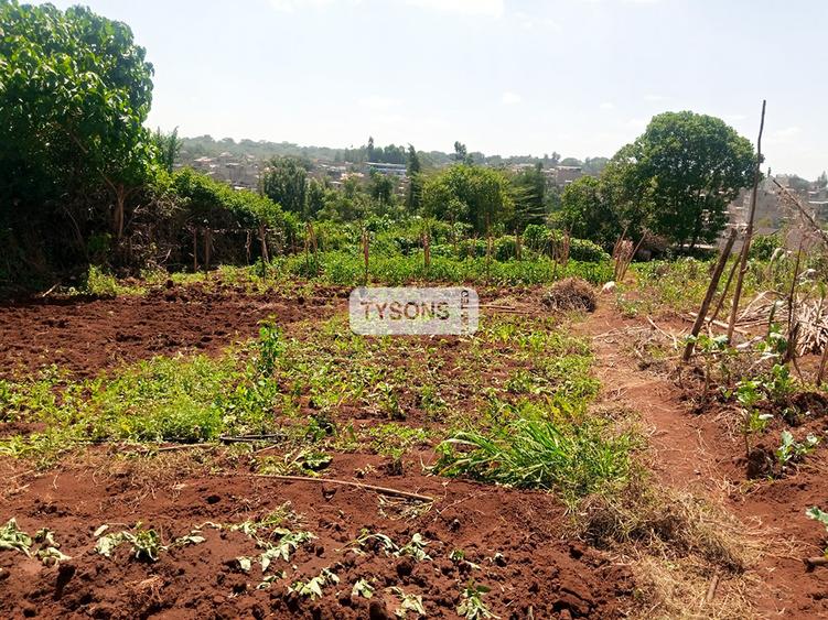 Residential Land in Thome