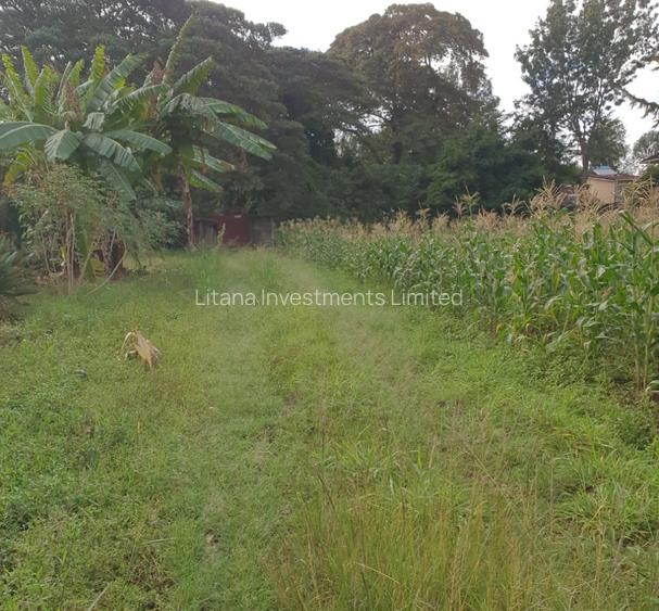5 ac Land at Runda Paradise