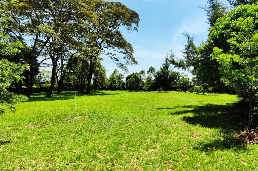 1 ac Residential Land at Rhino Park Road