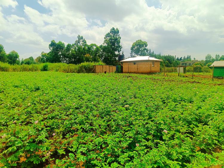 500 m² Residential Land at Ngamba