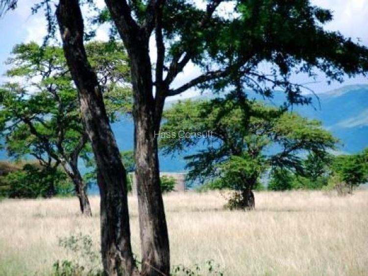 161,880 m² Land at Pipeline Road