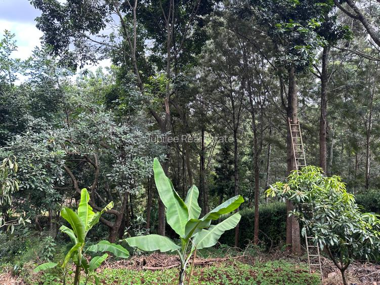 1 ac Land in Nyari