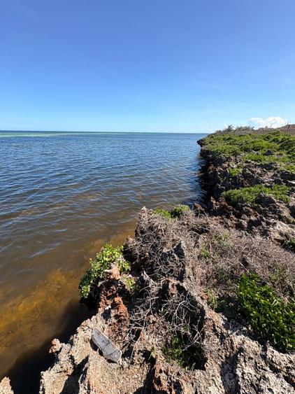 2 ac Land at Watamu Beach- Seafront - Widok 4