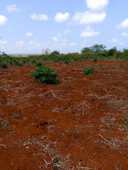 5,000 ft² Land at Mavueni