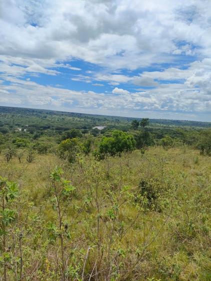 Land in Narok