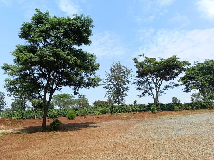 Residential Land at Tatu City