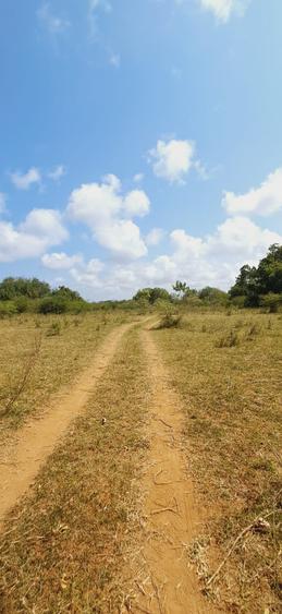 Land in Kilifi - Bild 3