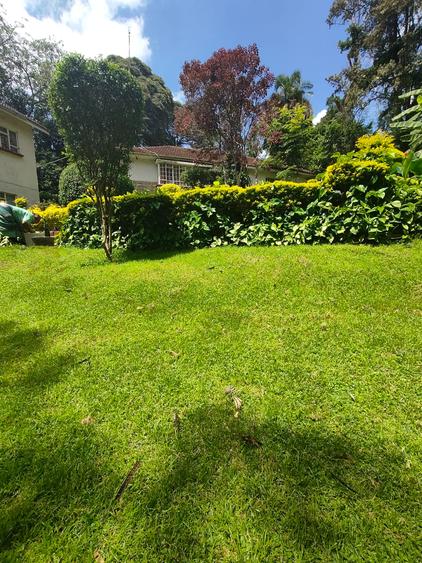 0.75 ac Residential Land at Njumbi Road