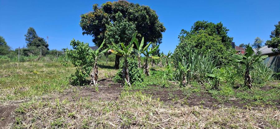 Residential Land at Olkeri