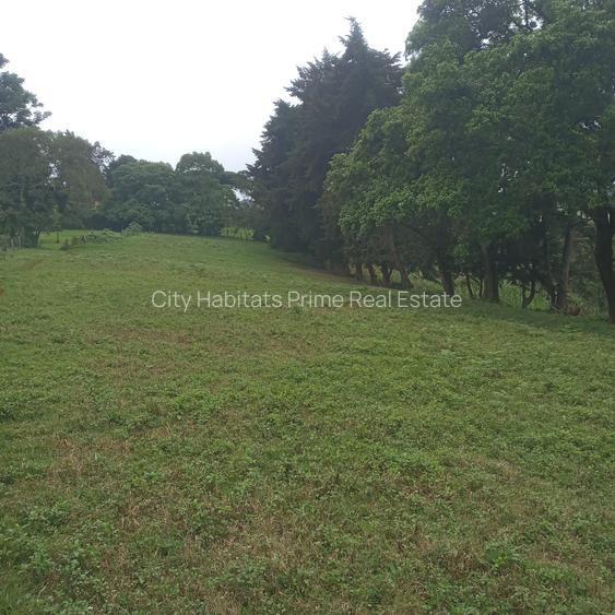 0.5 ac Residential Land in Redhill