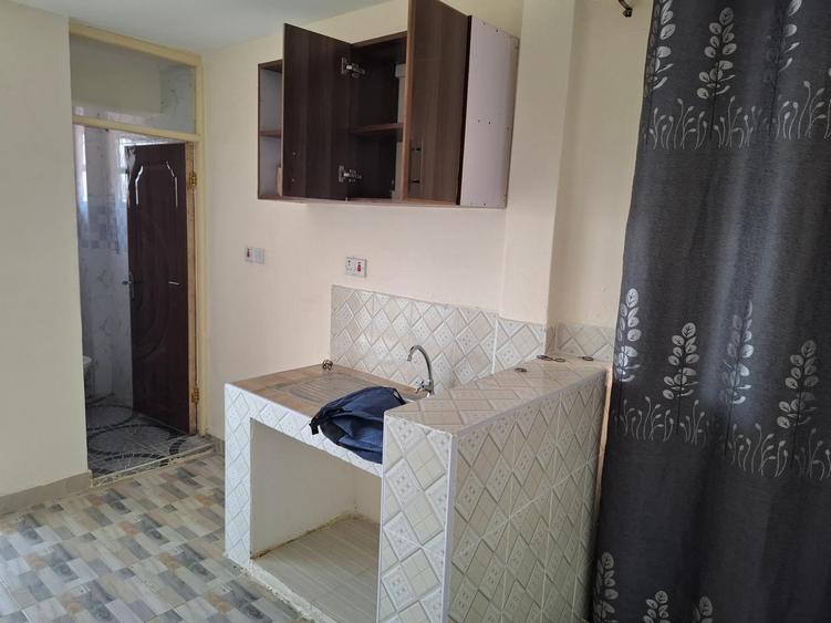 Serviced Studio Apartment with En Suite at Juja