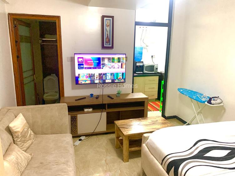 Serviced Studio Apartment with En Suite at Dennis Pritt