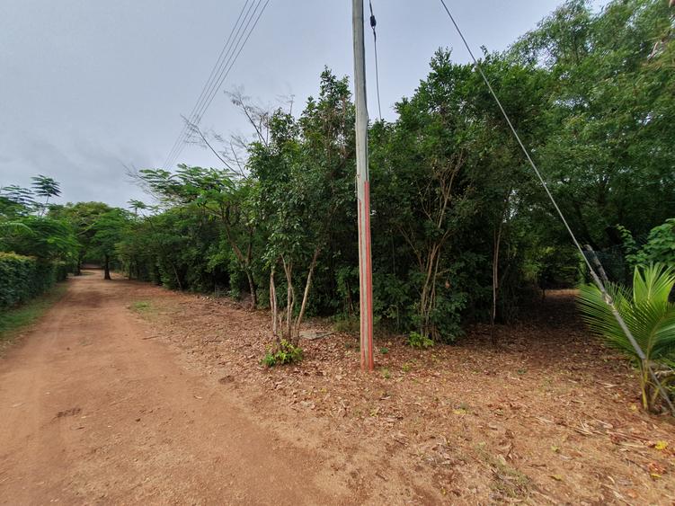 1,000 m² Land in Diani