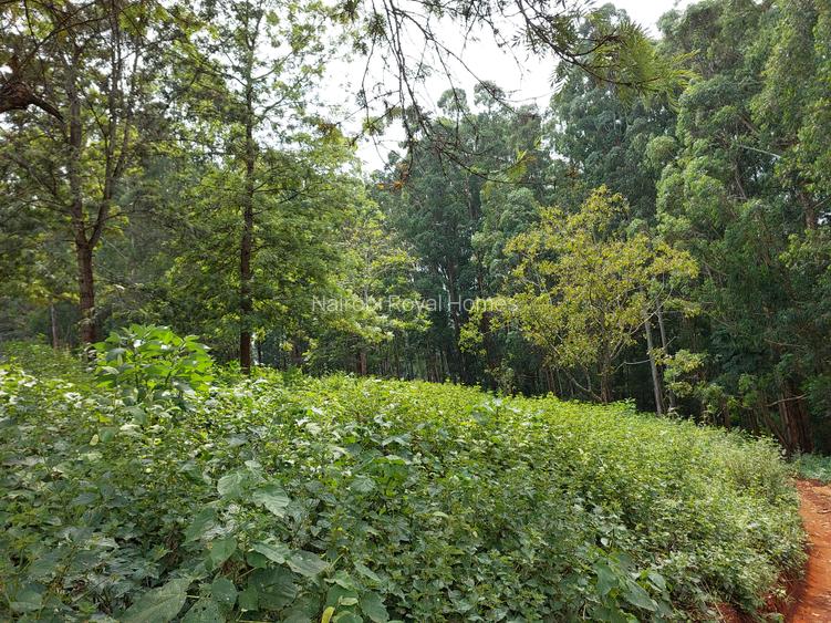 Residential Land at Rosslyn Redhill Road