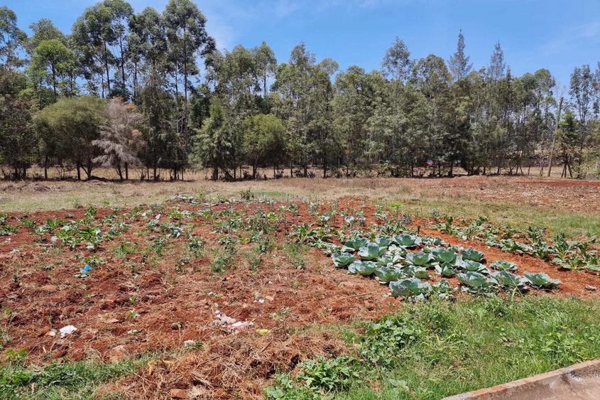 Residential Land in Ridgeways