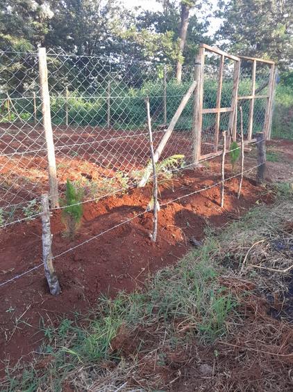 Residential Land at Githunguri -Ruiru