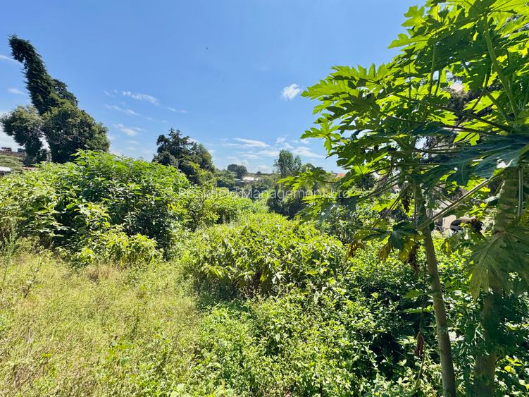 1.2 ac Land in Ruaka