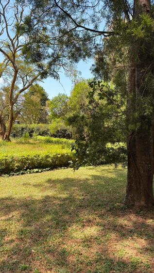 Residential Land in Karen - Widok 3