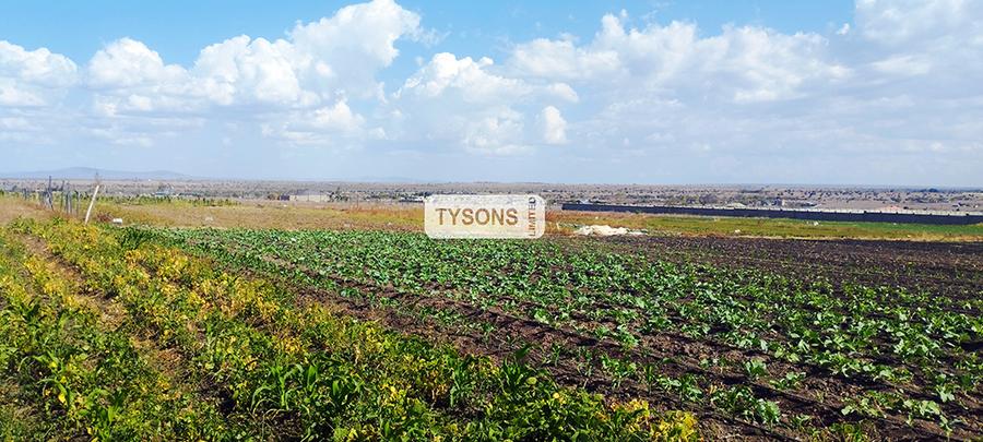 Commercial Land in Kisaju