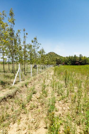 Land at Moi South Lake Road