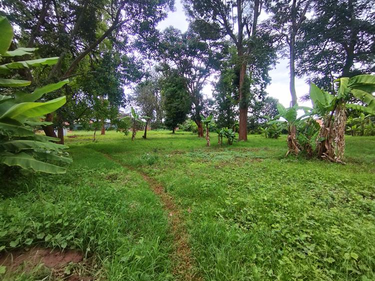 0.8 ac Land at Mumbi Road