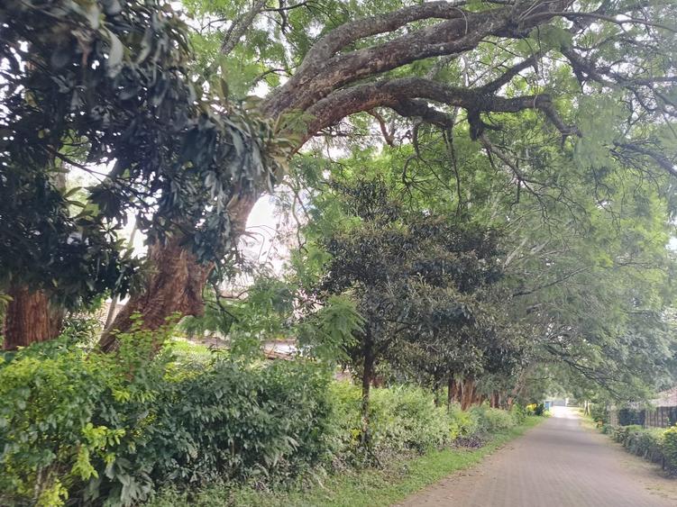 Commercial Land at Church Road