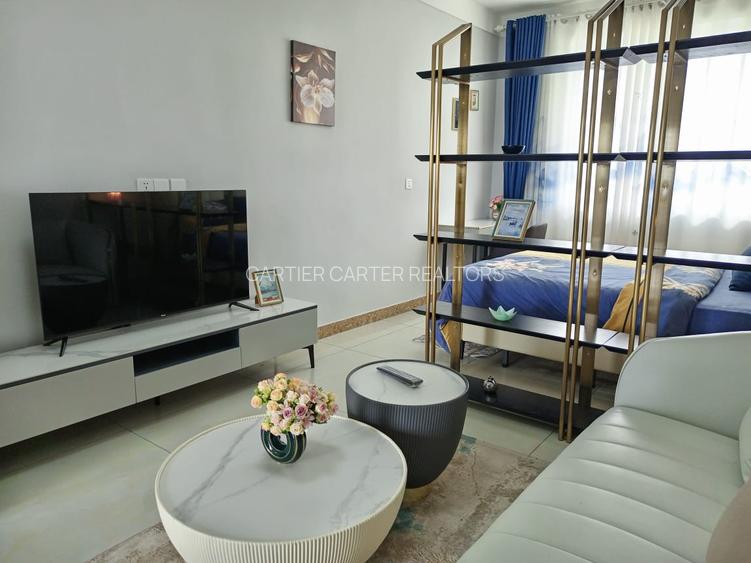 Studio Apartment with Gym in Mlolongo