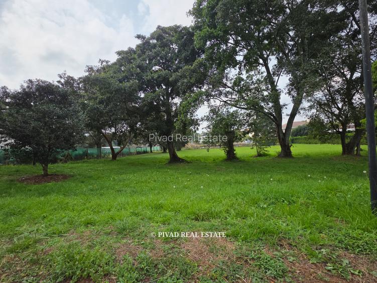 20 ac Land in Karen