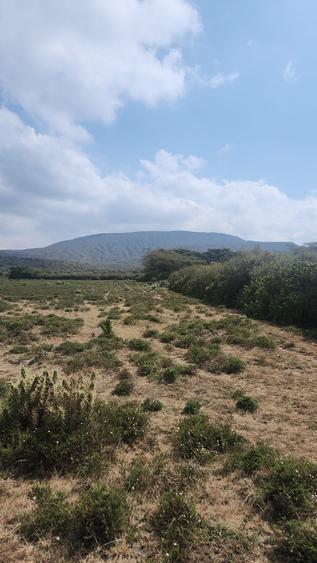 31 ac Land at Longonot Town