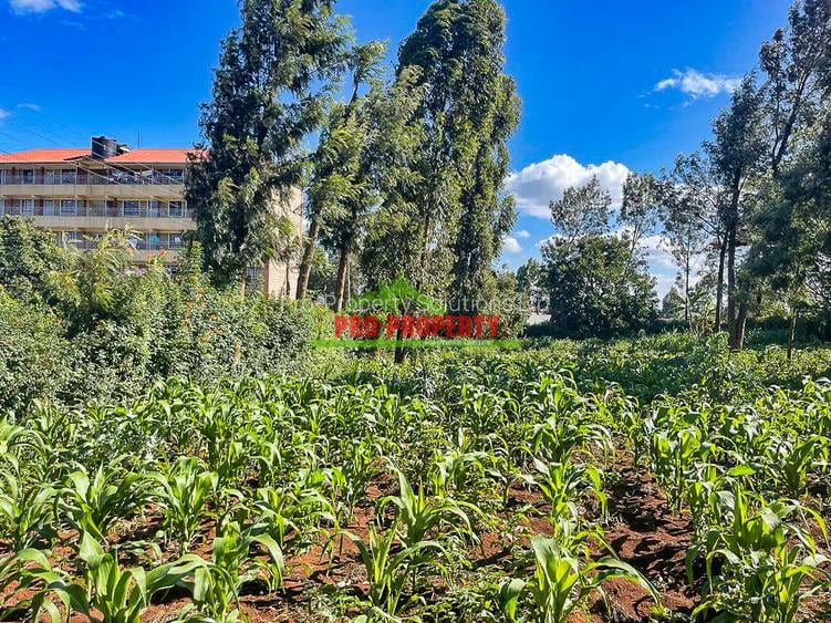 0.06 ha Commercial Land at Thogoto