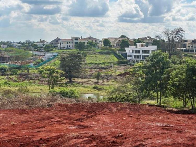 0.25 ac Land at Tatu City 0.25 ac Land at Tatu City