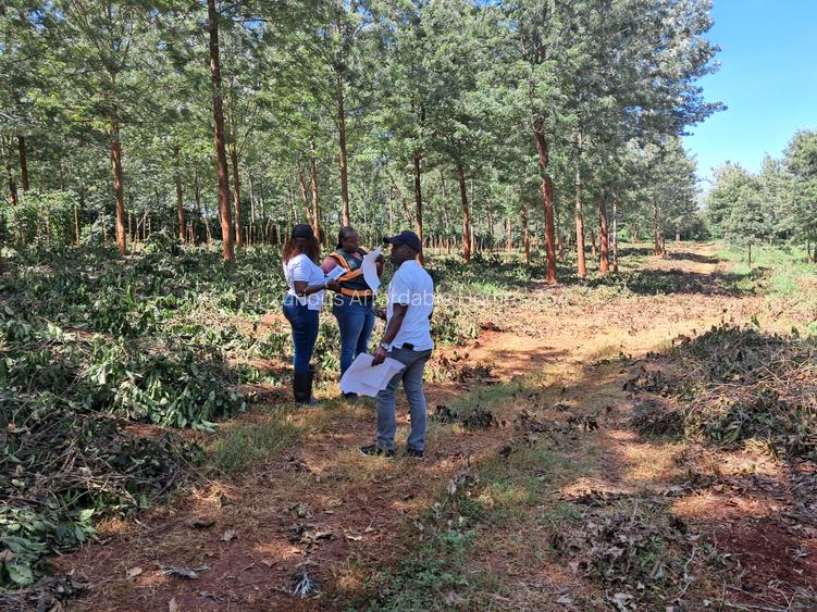 Residential Land in Ruiru