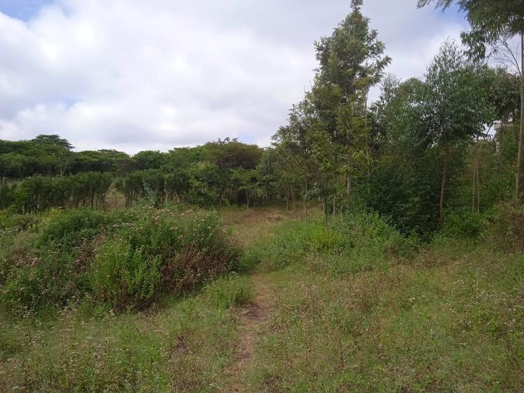 0.25 ac Land in Ngong