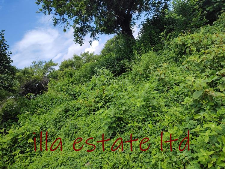 0.25 ac Land at Diani Beach Road