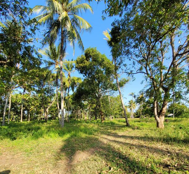 Residential Land in Nyali Area