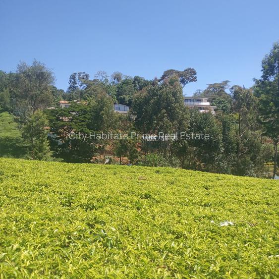 0.5 ac Residential Land in Tigoni