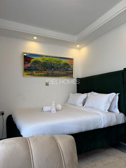 Serviced Studio Apartment with En Suite in Lavington