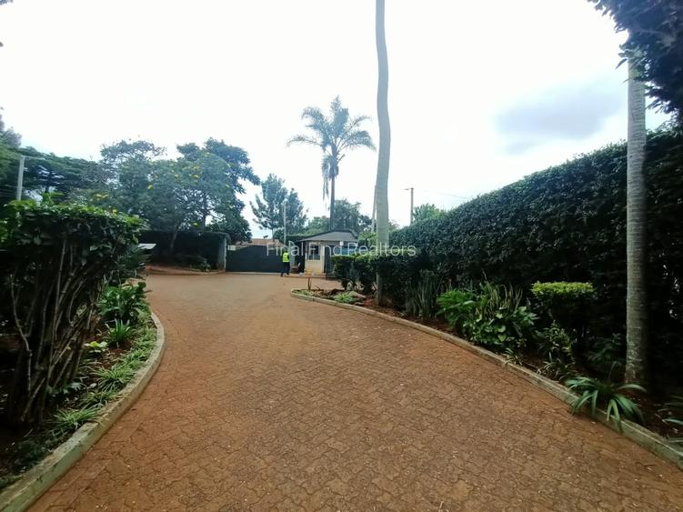 Furnished 1 Bed Apartment with En Suite in Runda