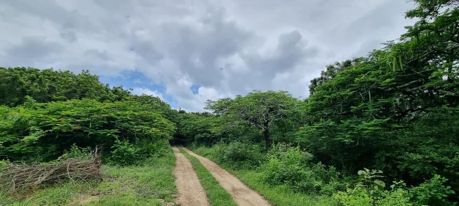 73.6 ac Land at Vipingo Kuruwitu Beach - Ansicht 4