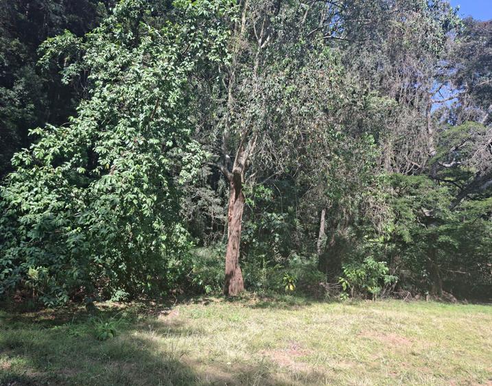 0.75 ac Residential Land at Off Naivasha Avenue, Muthaiga