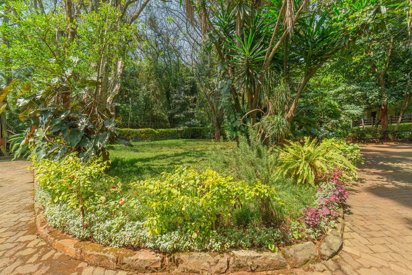 4 Bed Villa with En Suite at Tate Close - Widok 5