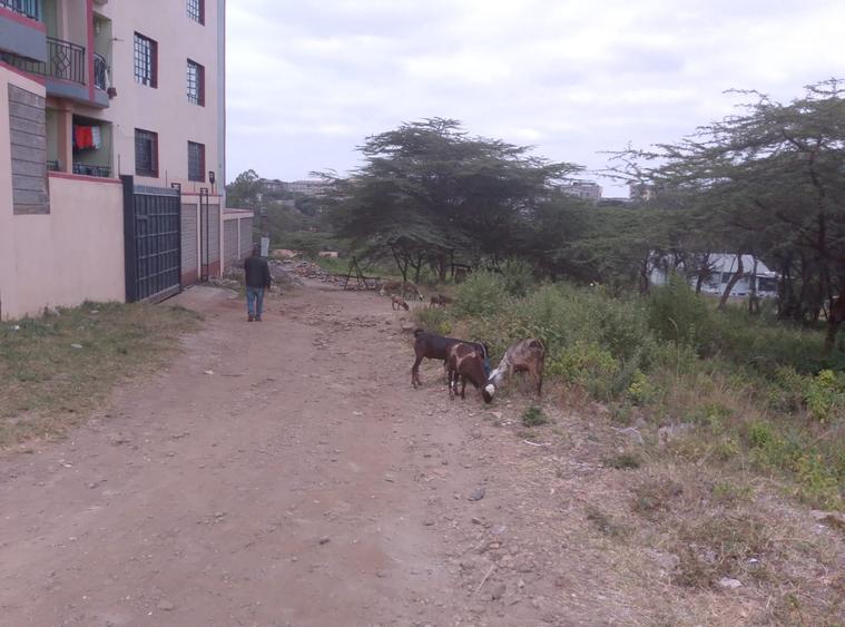 0.25 ac Residential Land at Maasai Lodge Road - Ansicht 2