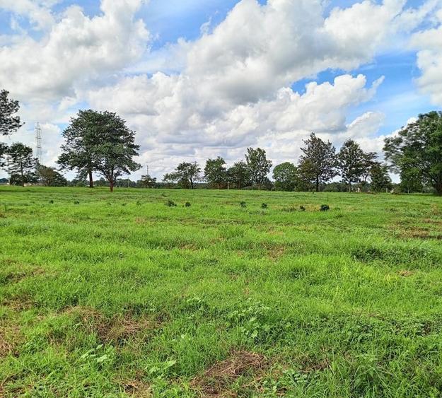 Residential Land at Juja-Gatundu Road - Aanzicht 6