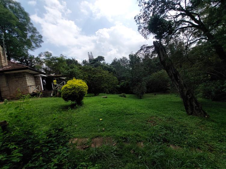 Land at Lavington - Bild 6