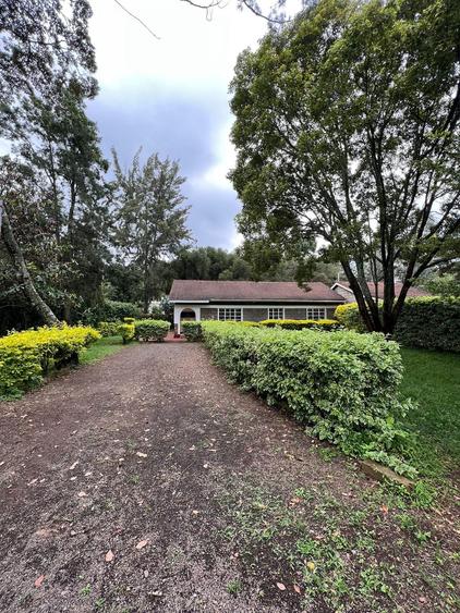 Listing 4011793 - View 3