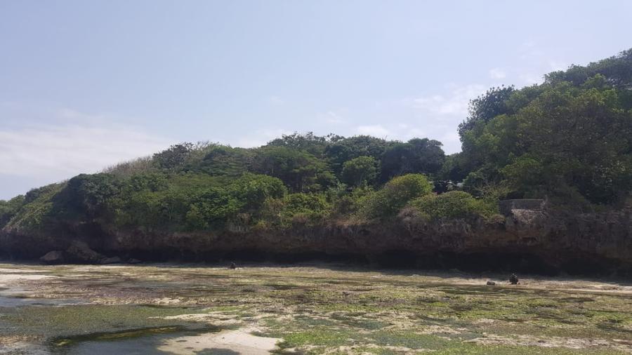 Commercial Land in Vipingo - View 6