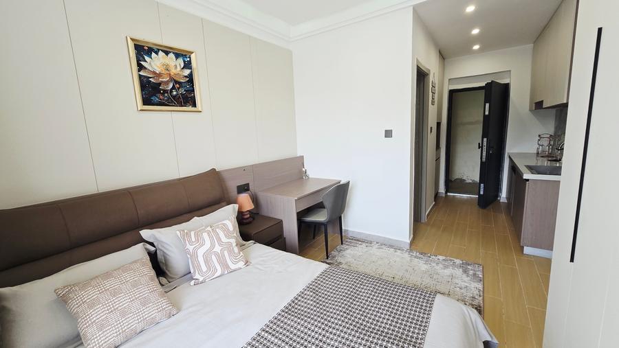 Studio Apartment with En Suite in Thika Road - Vista 6