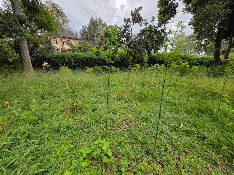 Commercial Land in Lavington - Widok 3