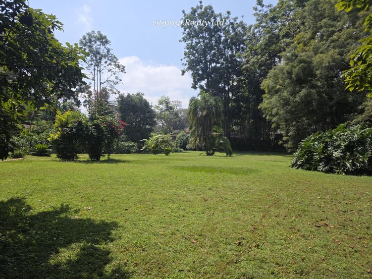Residential Land in Kitisuru - Widok 5